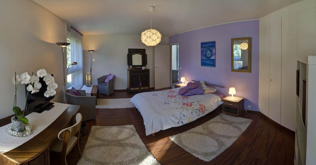 Villa Esprit3 Geneve Rum bild